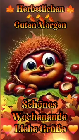 #gutenmorgen #samstag #schöneswochenende #liebegrüße♥️ 
