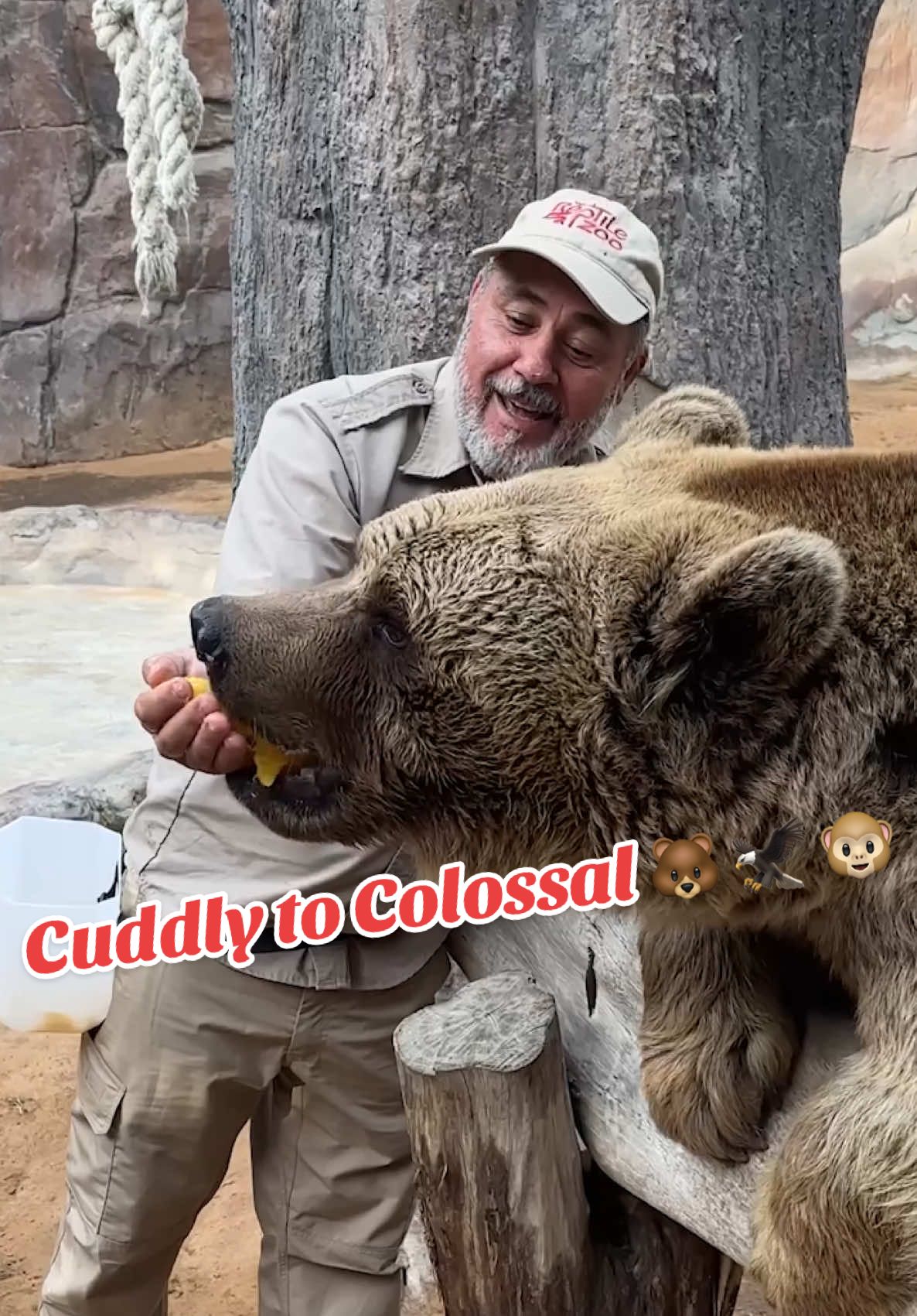 Had an awesome day visiting another incredible zoo 🙌🔥 I got to hang out with Teddy the bear 🐻 and even meet a massive lappet-faced vulture with a 9-foot wingspan 😱🦅 Spending time with animals this powerful and unique is always an unforgettable experience. From playful moments with Teddy to seeing the sheer size and strength of that vulture up close, this visit had it all ❤️✨ Nothing beats learning, laughing, and making memories with some of the most amazing creatures on the planet!