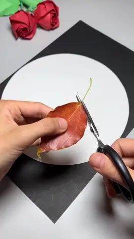 We are not selling products to you, but take natural beautiful things and happy life to you! Enjoy the nature together! #3hlink #Lavender #palmleaves #driedflowers #3hlinkflower #preservedflower #bohodecor #pampasgrass #hydrangea #homedecor #weddingdecoration #babybreath #handmadecrafts #hoteldecor #luxurydecor #flowerbouquet #flowerboxes #flowerbouquets #hydrangeas #christmasdecor #christmasflowers #preservedtree #witchbroom #christmas #driedflowerwholesale #cassiacinnamon #amarantus #willowbranch #minihaybales #decorhaybales 