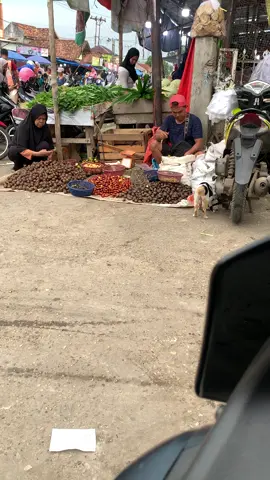 🐱: Gak bantuin bapak jualan auto di coret dari KK nih, mana mata masih ngantuk.. #cats #catsoftiktok #pororo #kucing #kucinglucu @Dianrevimeri 