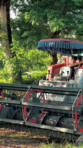 Cặp lực cùng idol @Nguyễn Hoà 2k5 nhe ae 🥰#kubotadc108x❤️🌾 #kubotadc105xบ้าพลัง #xecholua🌾🌾🌾 #66đồngtháp 