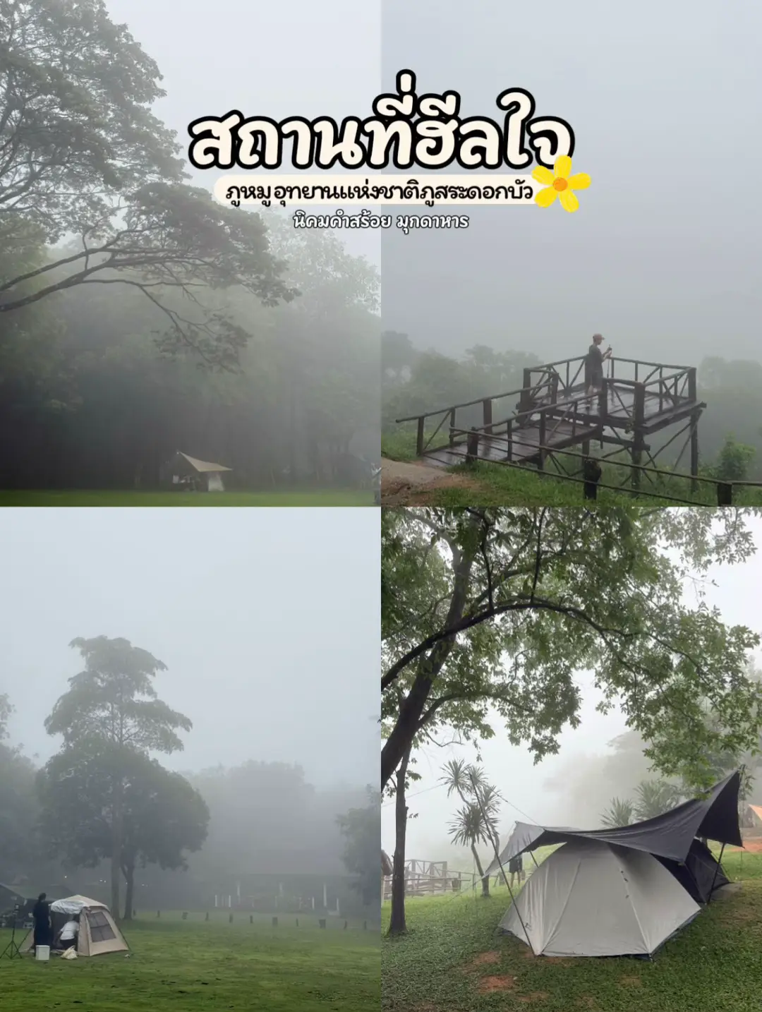 ธรรมชาติฮีลใจเราได้ดีมาก เพราะฉะนั้นเราต้องลองออกไปเที่ยว หาความสุขให้ตัวเองบ้างเถอะ อย่ามัวแต่ทำงาน จนลืมเที่ยวนะ  ค่าใช้จ่าย - เด็ก 10 ผู้ใหญ่ 20  - ค่าที่จอดรถ 20-30 - พื้นที่กางเต็นท์ 30 สำหรับเอาเต็นท์มาเอง - ค่าเช่าเต็นท์ 250/คืน - ถุงนอน 30  - เบาะรองนอน 20 - หมอน 10 #ภูหมูนิคมคําสร้อย #อุทยานแห่งชาติภูสระดอกบัว #เที่ยวมุกดาหาร #ธรรมชาติบําบัด #พักกายพักใจ 