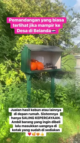 #fyp #fypシ゚ #belanda #belanda🇳🇱 