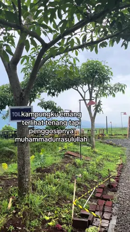 Marai ngelus dodo tenann #fyp #4u #4upage #kontenhiburan #masukberanda 