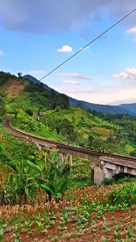😊 #jembatankarikil #bukitkairil #vidiokereta #sahasok?? #masukberandafyp 