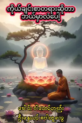 #ဘုရားတရားသံဃာ  #အရှင်ဥာဏိဿရ  #သုတရသစာပေ  #Fyp  #tiktok 