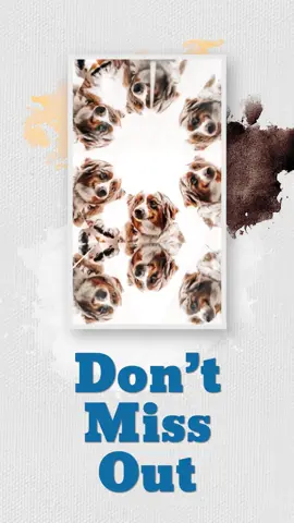 Puppy Pawty, Teacher Night, and fall deals are back at Museum of Illusions Orlando. See why this season is the perfect time to visit: https://www.hotelsescape.com/museum-of-illusions-orlando-events/ #OrlandoEvents #MuseumOfIllusionsOrlando #ICONPark #HotelsEscape