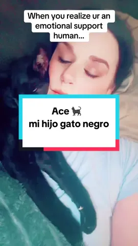 #catsoftiktok #catcompilation #missmandyofficial #separationanxiety #fypシ゚viral