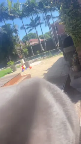 She doesn’t usually jump on my lap like that #cat #catsoftiktok #fyp #cattoks #scratch 