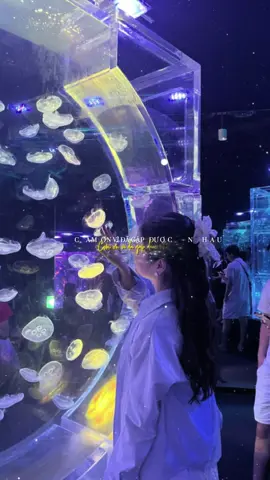 #CapCut Luỵ bài này của Trọng Híu thế nhở😍😍😍😍 #khobau #strongwomen #tronghieu #nhachaymoingay 