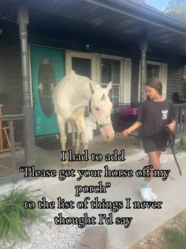 She’s gonna give me gray hair 😂 #feral #children #horses #farmkids 