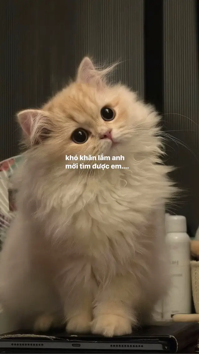 Phần 57 |  khó khăn lắm anh mới tìm được em... #tinhyeu #viral #sadstory  #tinhyeuanhdanhchoem 