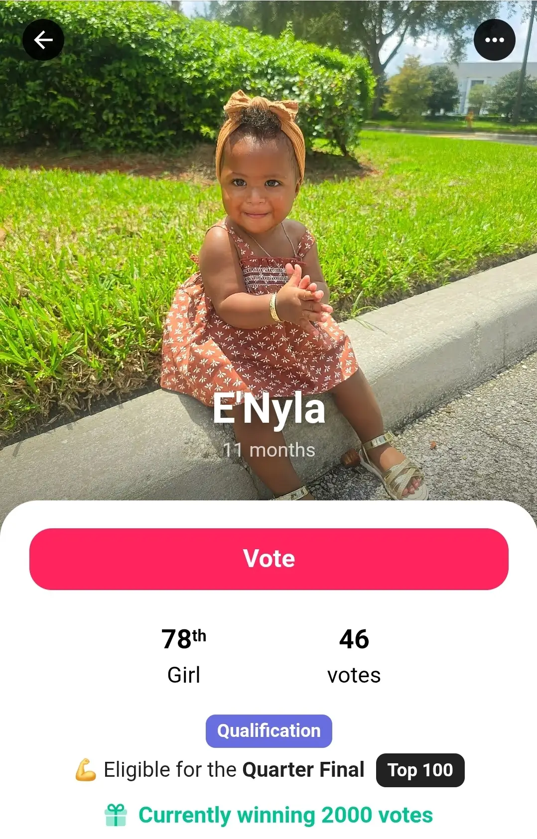 #bidiboo #vote 