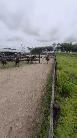 #paratiiiiiiiiiiiiiiiiiiiiiiiiiiiiiii #vaquero #videoviralitiktok #fpy_tiktok #peten 