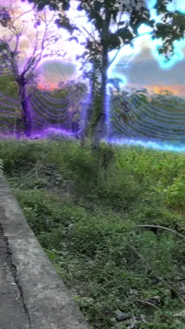 miom3 sulawesi🏁miom3soppeng#miom3gacor#fypppppppppp#