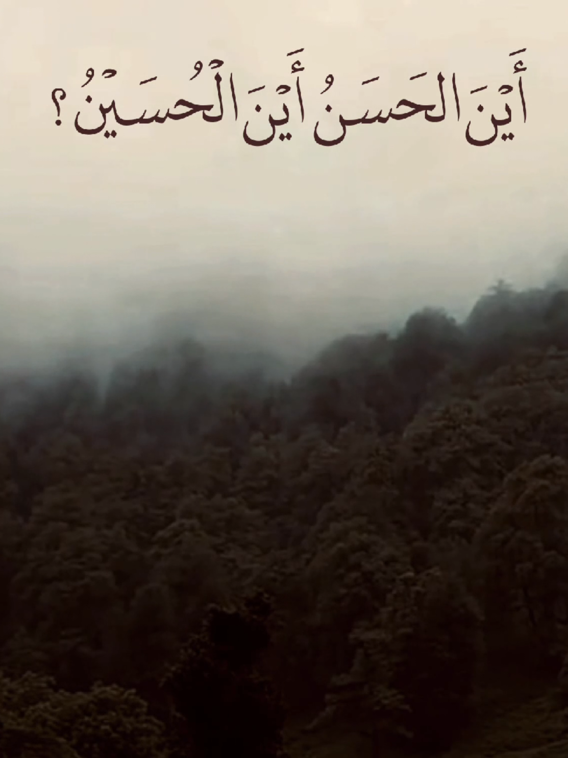 أَيْنَ الحَسَنُ أَيْنَ الْحُسَيْنُ ؟ دعاء الصباح .. #دعاء_الصباح #دعاء_الندبة #دعاء_العهد #اكسبلور  #viral 