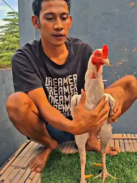 sleeep angget dek #fypgakni #fypage #fyppppppppppppppppppppppp #fypシ゚viral #fypシ゚ 