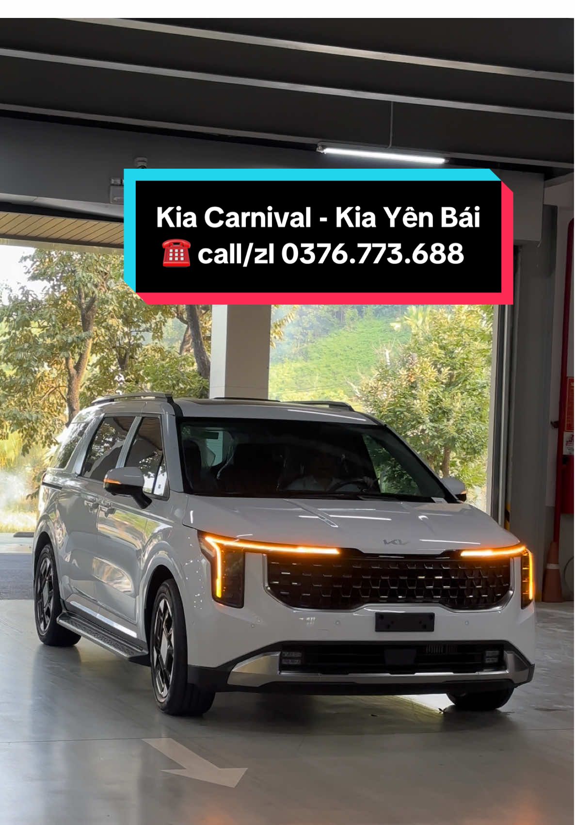 Kia Carnival 2.2D Signature 7s 👉🏻 Hotline O376.77ba.sáu88 🦖 #kia #carnival #yenbai #xuhuong #xehay 