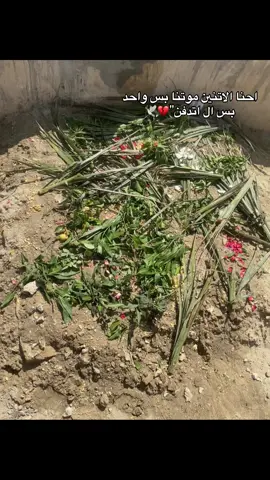 #تشتاق #حزبنه🥺 #ربنا_يرحمك_ويغفرلك #موت 🕊️🕊️