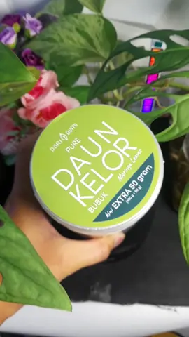 Promo Daun Kelor Bubuk extra 50, segera beli cek dikeranjang kuning #daunkelor #daunkelorbubuk #daribumi #daunkelorbubukmurah #tiktokshop 