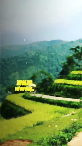Tôi đã hứa với em rằng chờ sớm mai sim nở hoa... #nhachaymoingay #casikhanhphuong #xuhuongtiktok #bookstationcoffee 