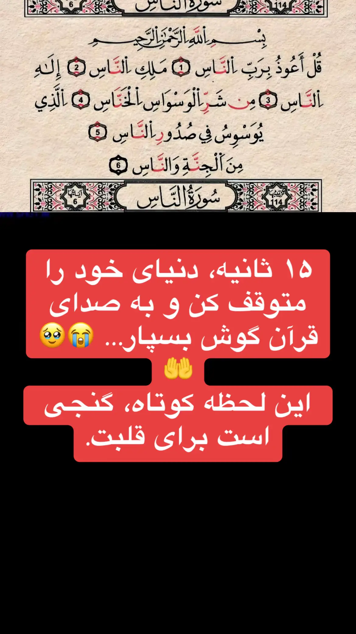 #afghanistan🇦🇫 #furyou #fyp #viral #furyoupage❤️❤️ 