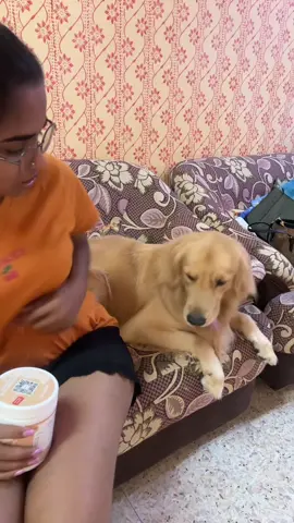 My babies multivitamins from Drpaws #pov #fyp 