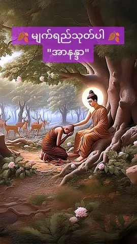 ချစ်လွယ်မုန်းလွယ်ပုဂ္ဂိုလ်တွေနဲ့ မပေါင်းသင်းထိုက်ဘူး #2millonviews #ပါမောက္ခချုပ်ဆရာတော်🙏🙏🙏 #တရားတော်များ #1millionviews 