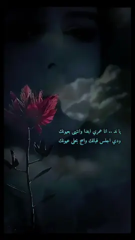 ياعذاب المحب وفاتنه جيلي بري حالي عليك وياعنى بالي.#✨️ــــــــــــــہہہـ٨ـــ٨ـ💔🥀