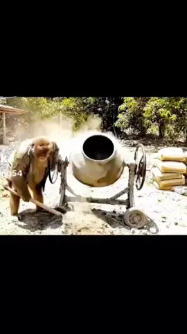 😂😂😂😂😂😂😂