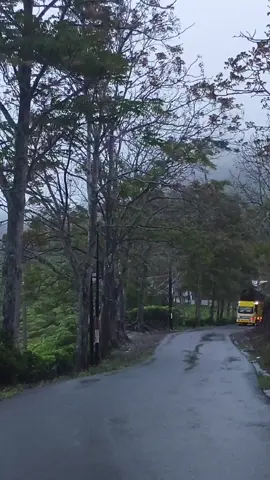 #cctvtaraju #cctv_truck_indonesia #cctvtasik #fyf 