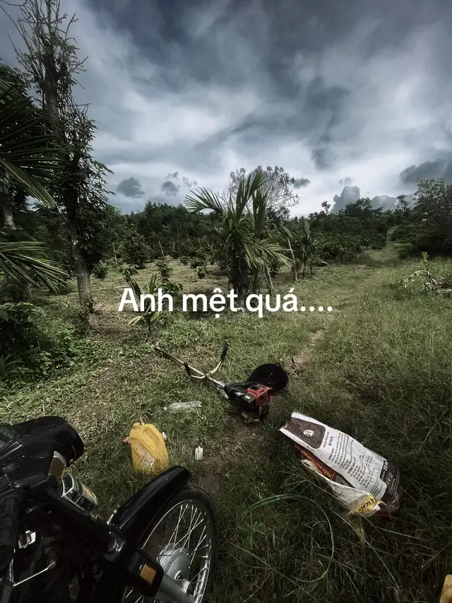 A có lớn nhưng lại chưa khôn Năm ấy biết đường trơn, vẫn cứ bước vào...