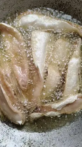 ทองปราจีนแดดเดียวรสชาติกลมกล่อมไม่เค็มอร่อยมาก#ปลา #ท้องปลาจีน #ปลาแดดเดียว 