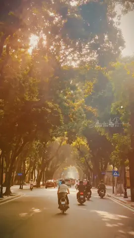 Mùa thu rơi vào em, vào trong giấc mơ hôm qua 🍂🍂🍂 #muathuhanoi🍂🍂🍂 