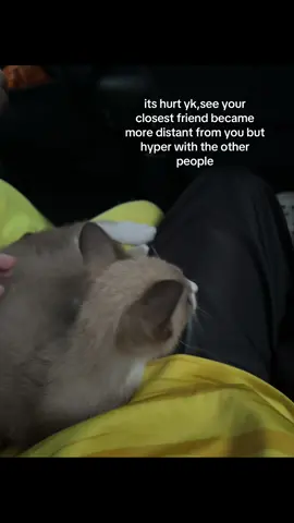 #fypシ #friendshipproblem #lalawa 