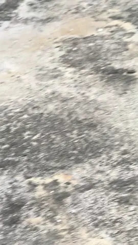 #body #wr155 #original #fypシ゚ #fyppppppppppppppppppppppp 