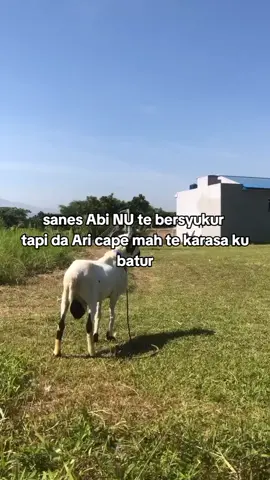 leres te jii#pdpputramahkota #hpdkijawabarat #hpdkikabupatenbandung 