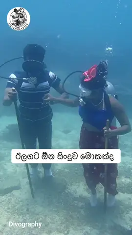 ඊලගට ඕන සිංදුව මොකක්ද ?#underwater #dive #trincomalee #srilanka #song