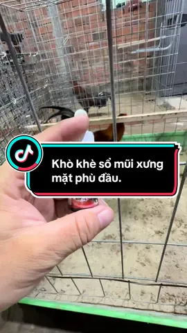 Khò khè sổ mũi xưng mặt phù đầu. #thuy68 #ga #c1 #c2 #c3 