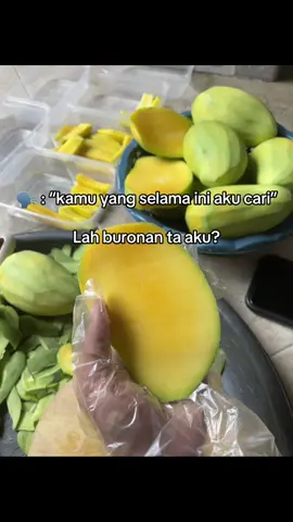 Mangga Mentah setengah Matang yang selalu dicari cari bumil seperti buronan👁️👄👁️ #manggamuda #rujakmangga #rujakbangkok 