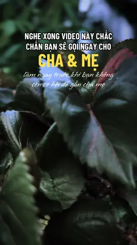 Còn cha còn mẹ còn lối về, mất cha mất mẹ đời quạnh hiu #ngộ_để_an #phatphapnhiemmau #trending #xuhuongtiktok #cliptrieuview 