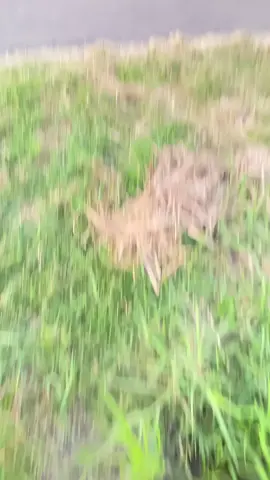 masyaallah tabarakallah, sudah bisa serah terima minggu depan🥰  Kami melayani pengerjaan konstruksi mulai dari tahap awal pembangunan hingga selesai dan siap diserahterimakan kepada pemilik. #kontraktor #jasadesain 