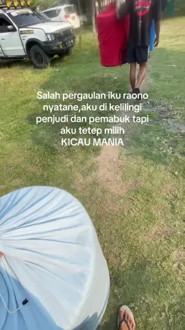Hanya menikmati alur tanpa harus terbawa arus#fyp #foryoupage #kicaumania #muraibatuindonesia #kucaumanianusantara 