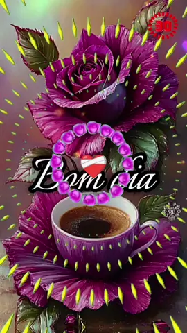 #bomdia #fyp #viral #foryou #amigostiktok 