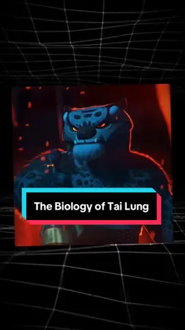 The biological secret of Tai Lung that Kung Fu Panda didn’t show you.🐅 #tailung #snowleopard #biology #facts #animaltiktok 