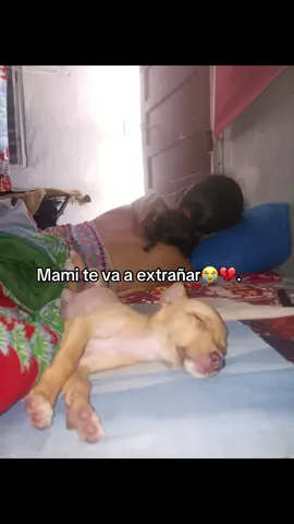 Mi niña todavía no me lo creo que ya no estás conmigo ni con la bebé😭😭💔.#tiktokviral#videoviral#riploila😭💔#paratiiiiiiiiiiiiiiiiiiiiiiiiiiiiiii