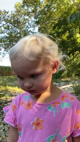 Nothing like an unripe persimmon 🤣 