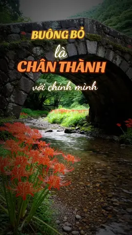 Buông bỏ là chân thành với chính mình #chanthanh #buongbo #trietlycuocsong 