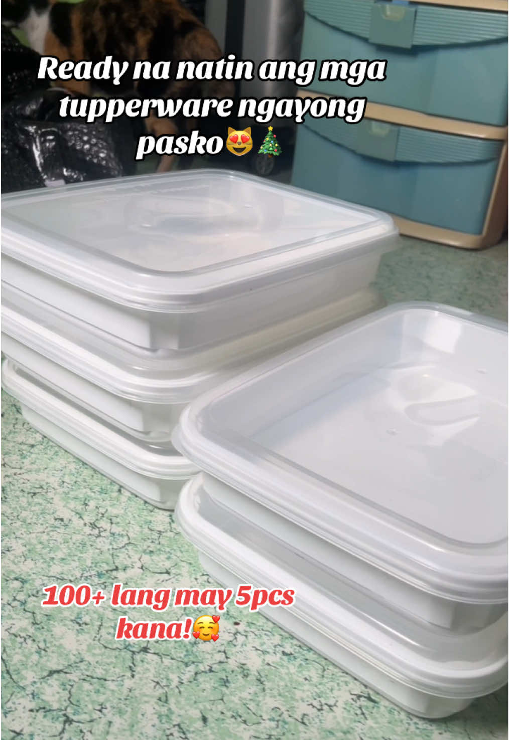 Tupperware na Matibay!🥰 #tupperware #essentials #pasko #christmas 