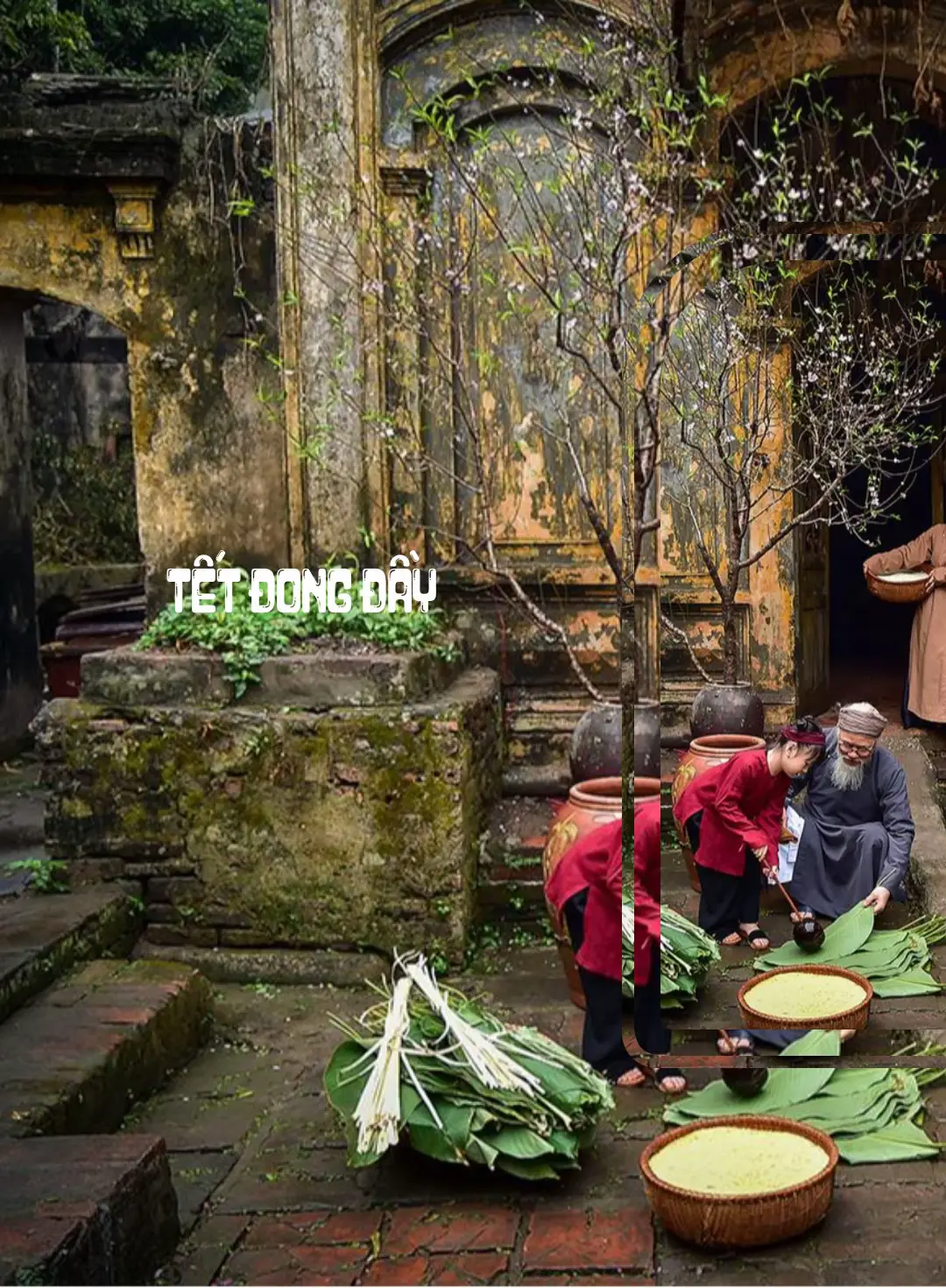 Xuân năm nay sắp đến rồi nha 💐🌸🧧🌺🌼 #tetdongday #nhactet #nhactet2026 #tetbinhngo2026 